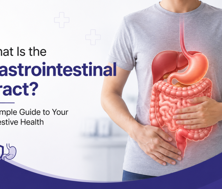 What Is the Gastrointestinal Tract? A Simple Guide to Your Digestive Health