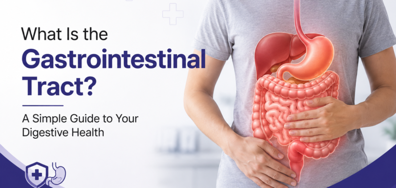 What Is the Gastrointestinal Tract? A Simple Guide to Your Digestive Health