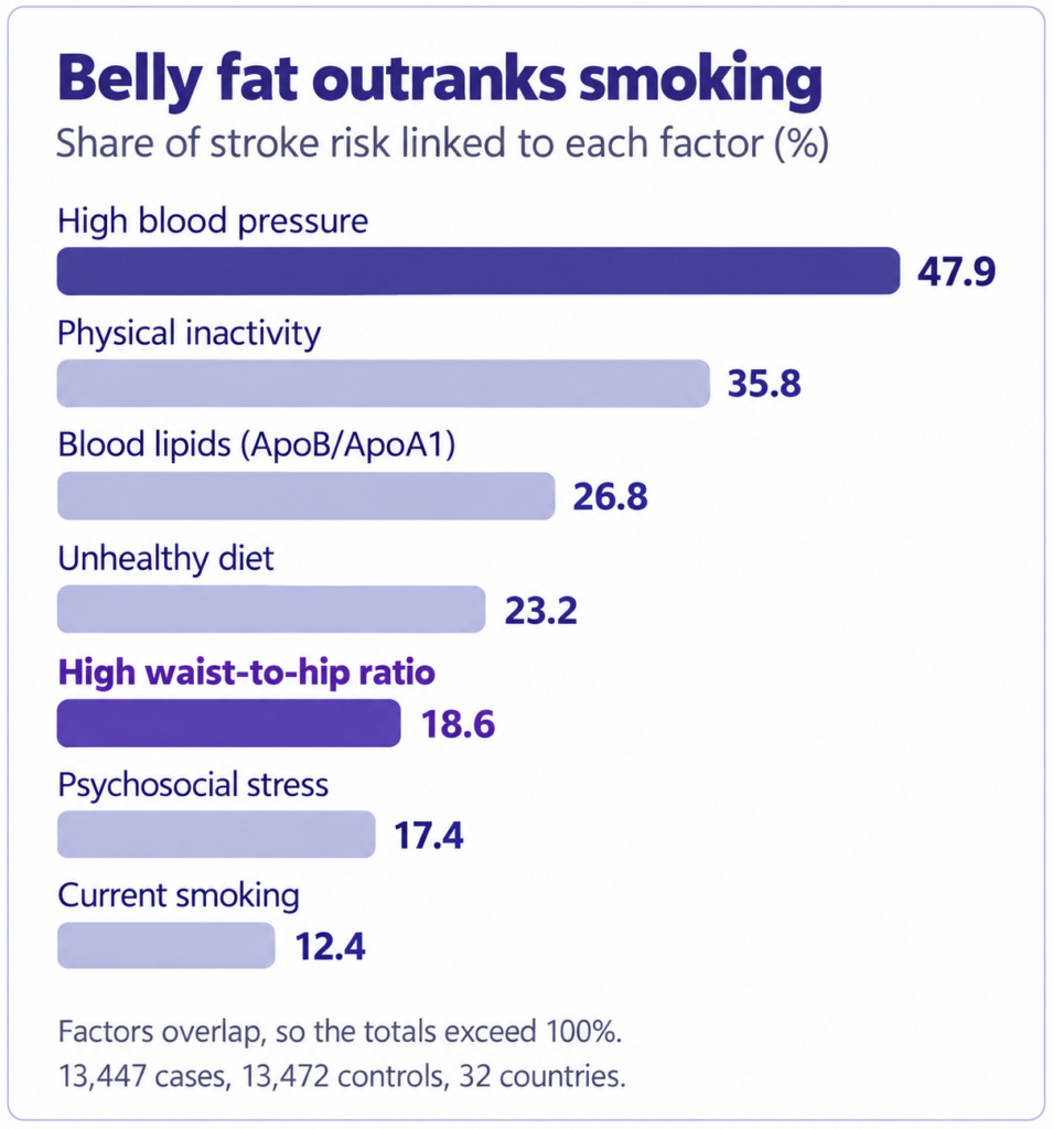 Belly Fat Chart By Hi-Tech Hospital